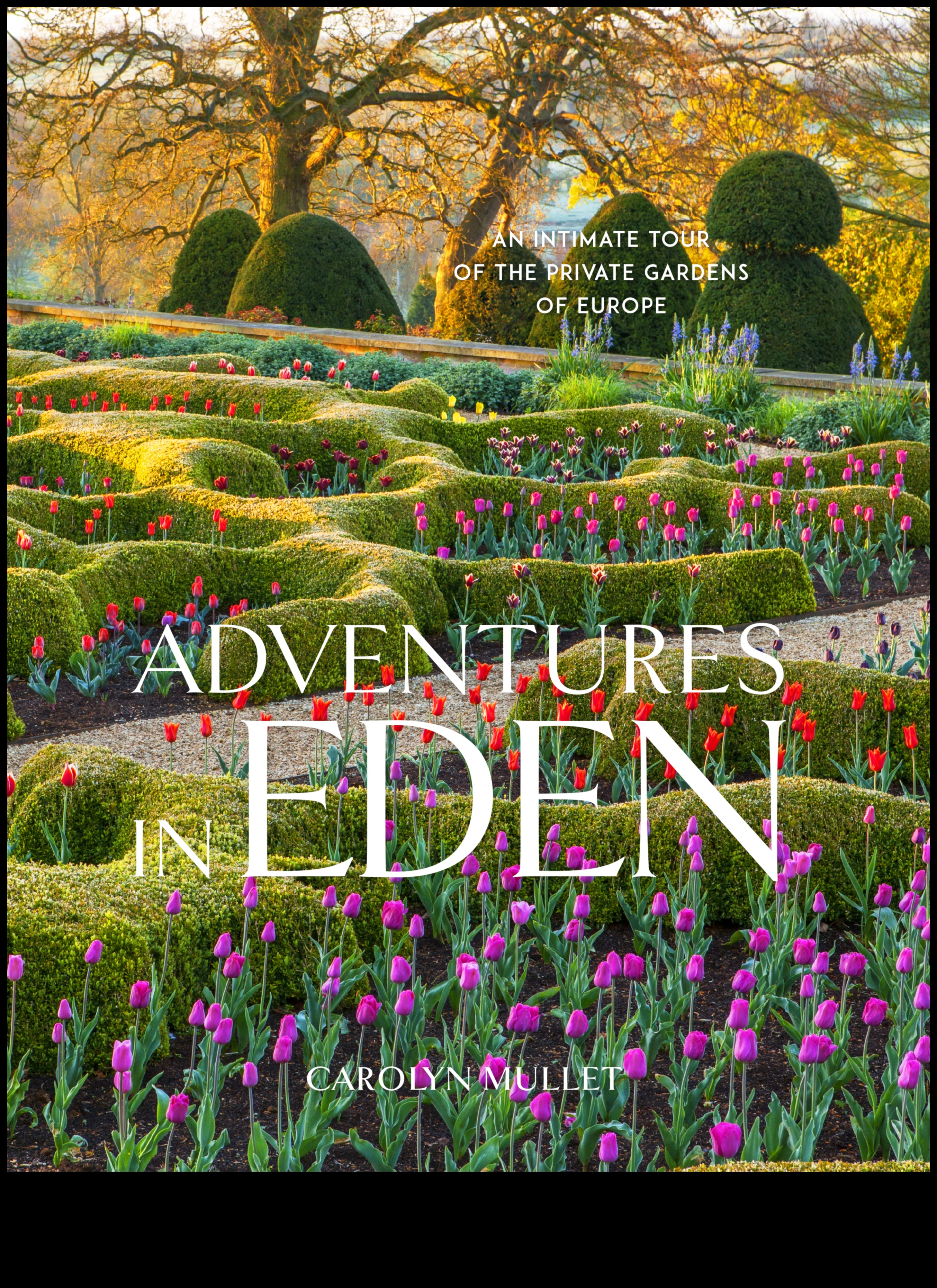 Eden Unveiled: Garden Design Dreams Come True