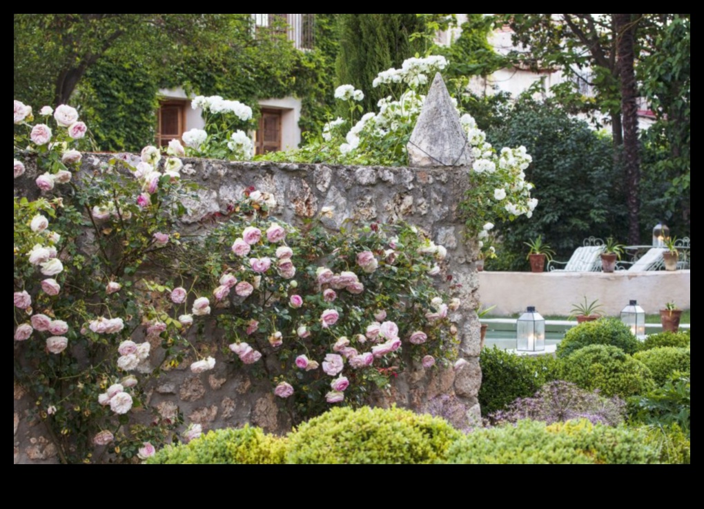 Eden Unveiled: Garden Design Dreams Come True