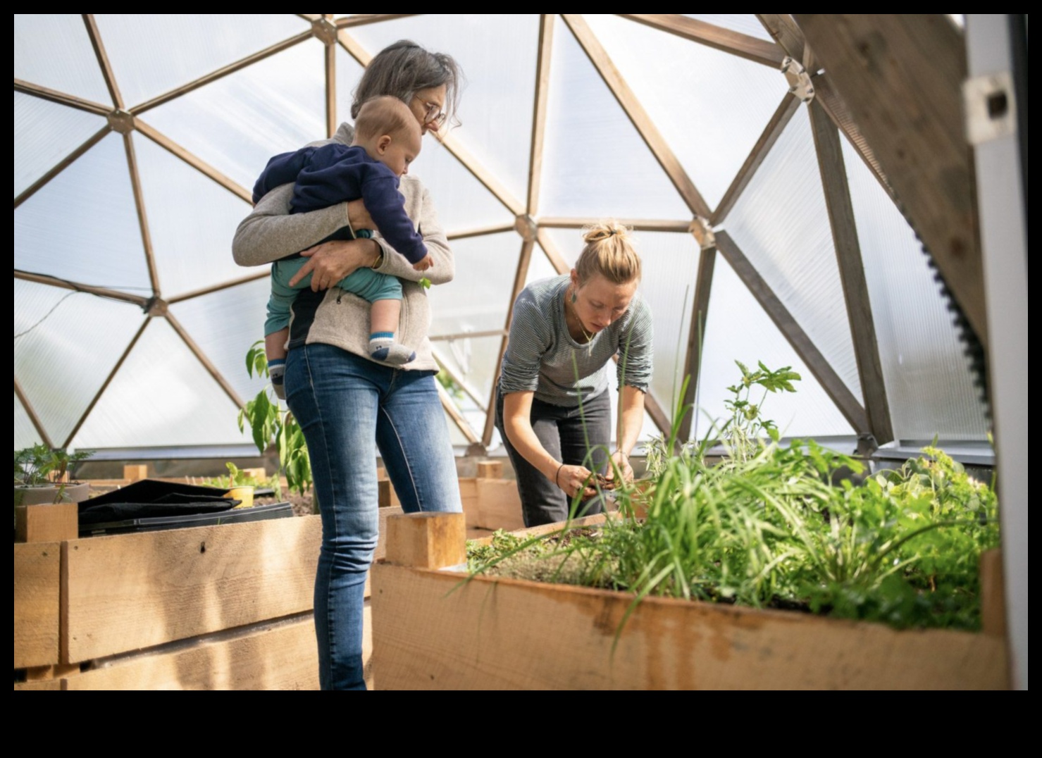 Eden Unveiled: Step Inside Our Greenhouse Sanctuary