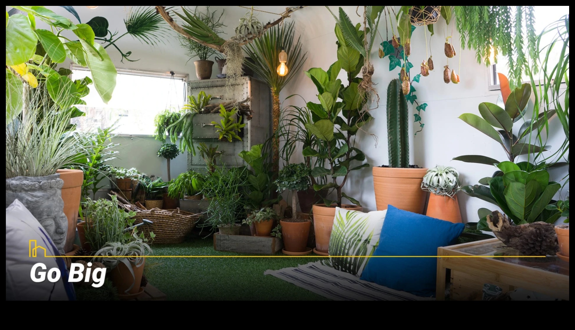 Elevate Your Garden: Essential Tips for Greenery Galore