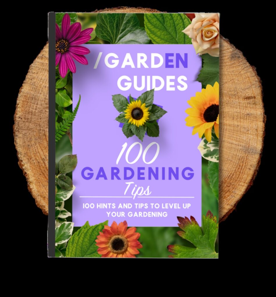 Elevate Your Garden Expert Tips for Greenery Galore 1