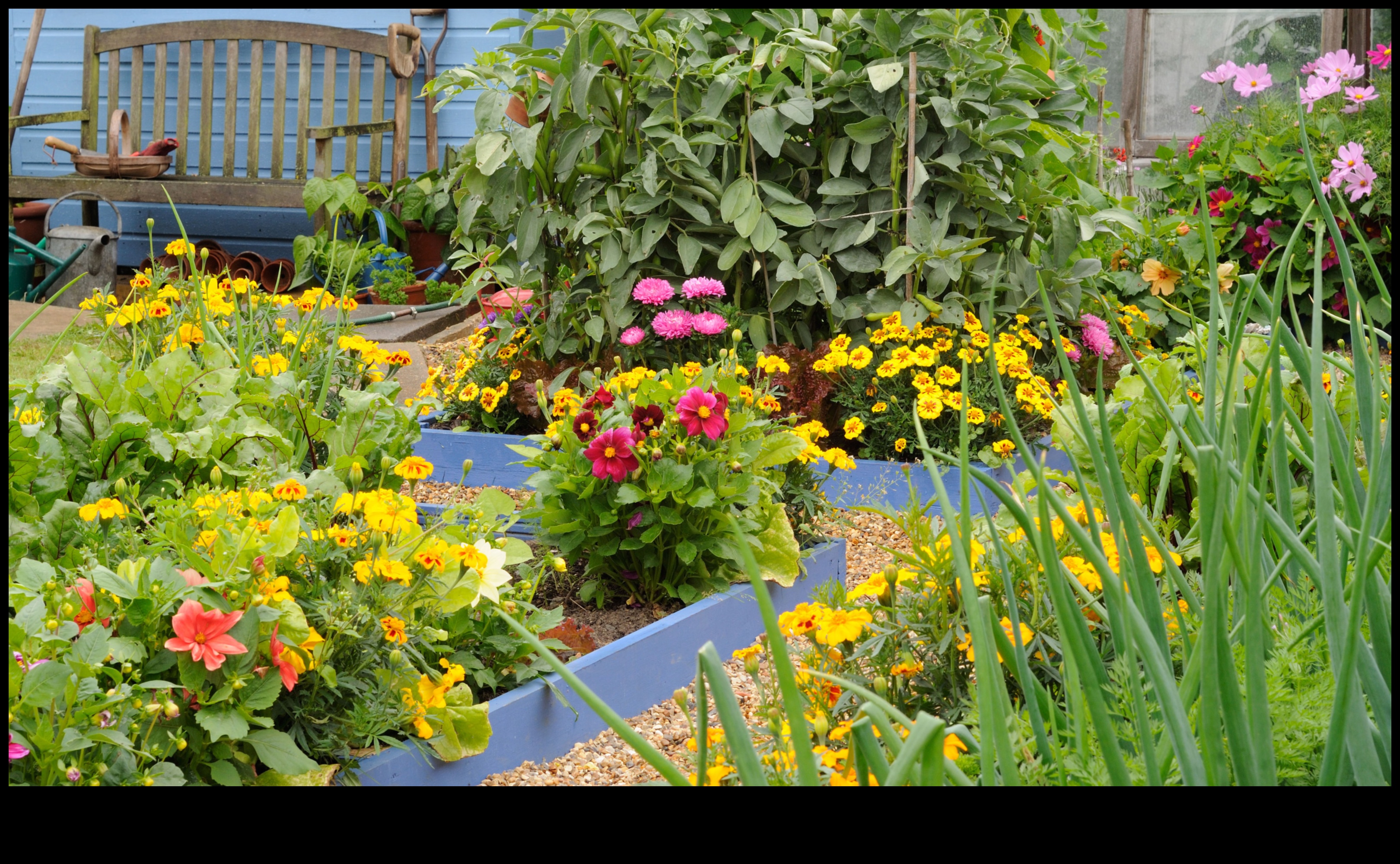 Elevate Your Garden: Expert Tips for Greenery Galore