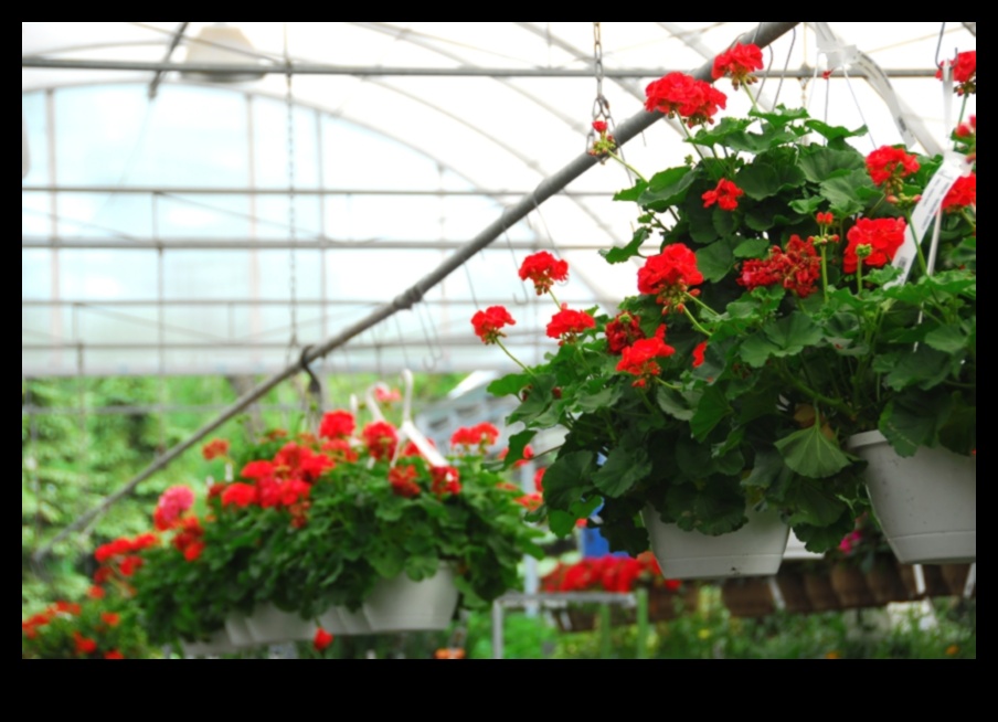 Elevate Your Garden Greenhouse Marvels Await - Grow your own fruits, vegetables, and flowers with ease. 1