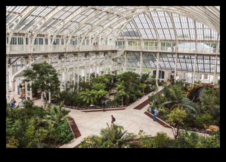 Elevated Gardens Greenhouse Beauty in Full BloomA Tour of the Stunning Greenhouses at the Royal Botanic Gardens, Kew 1