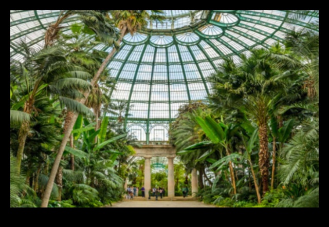Elevated Gardens: Greenhouse Beauty in Full Bloom