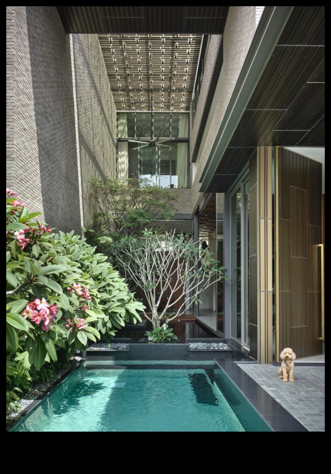 Elevated Oasis: Vertical Gardening Serenity