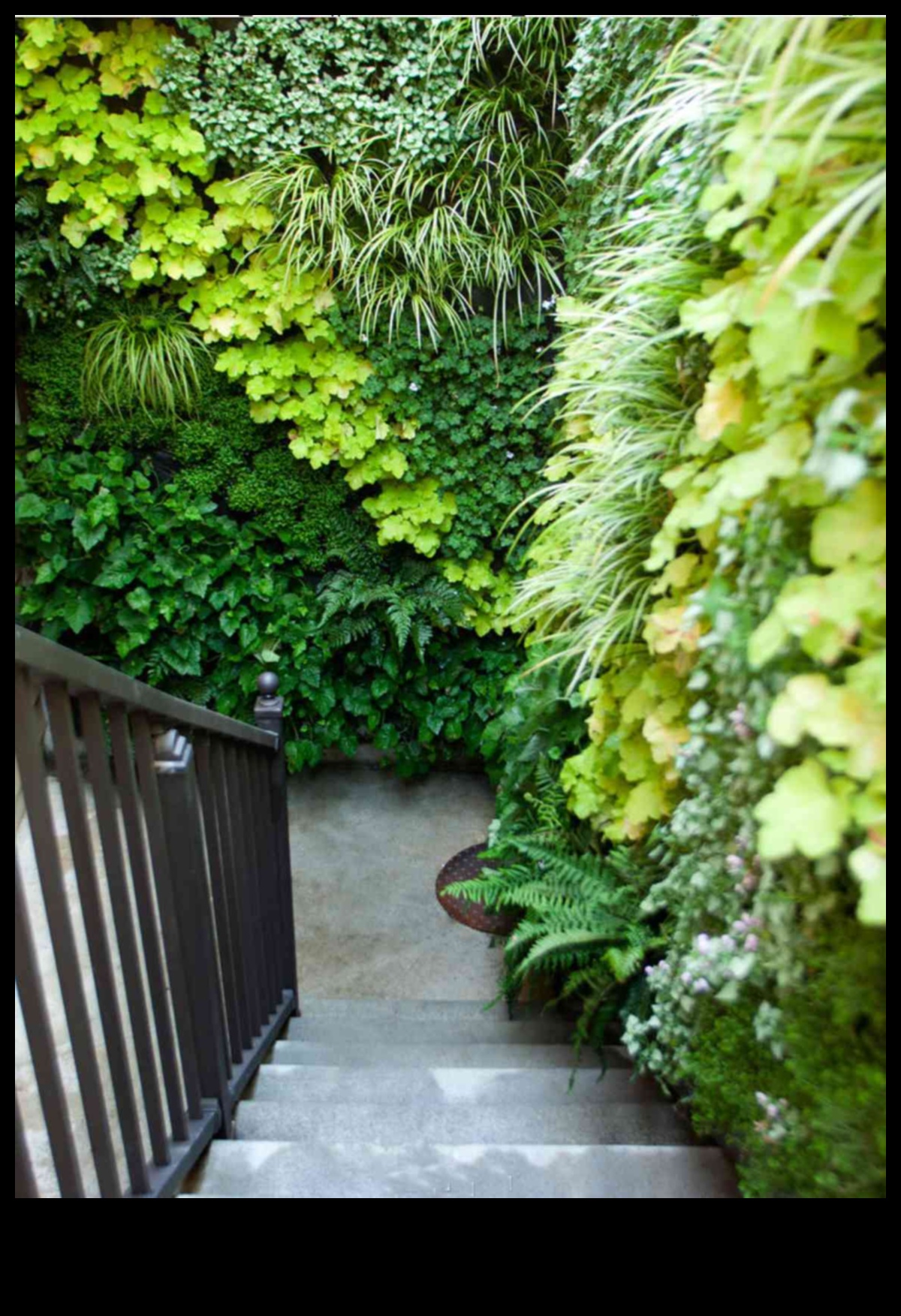 Elevated Splendor: The Art of Vertical Gardening