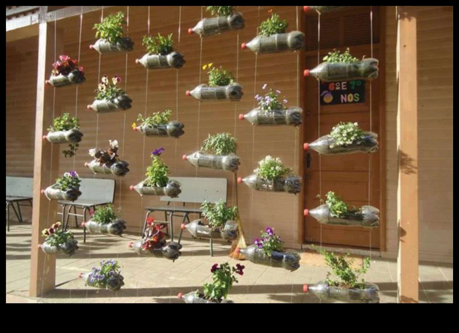 Elevated Splendor: The Art of Vertical Gardening