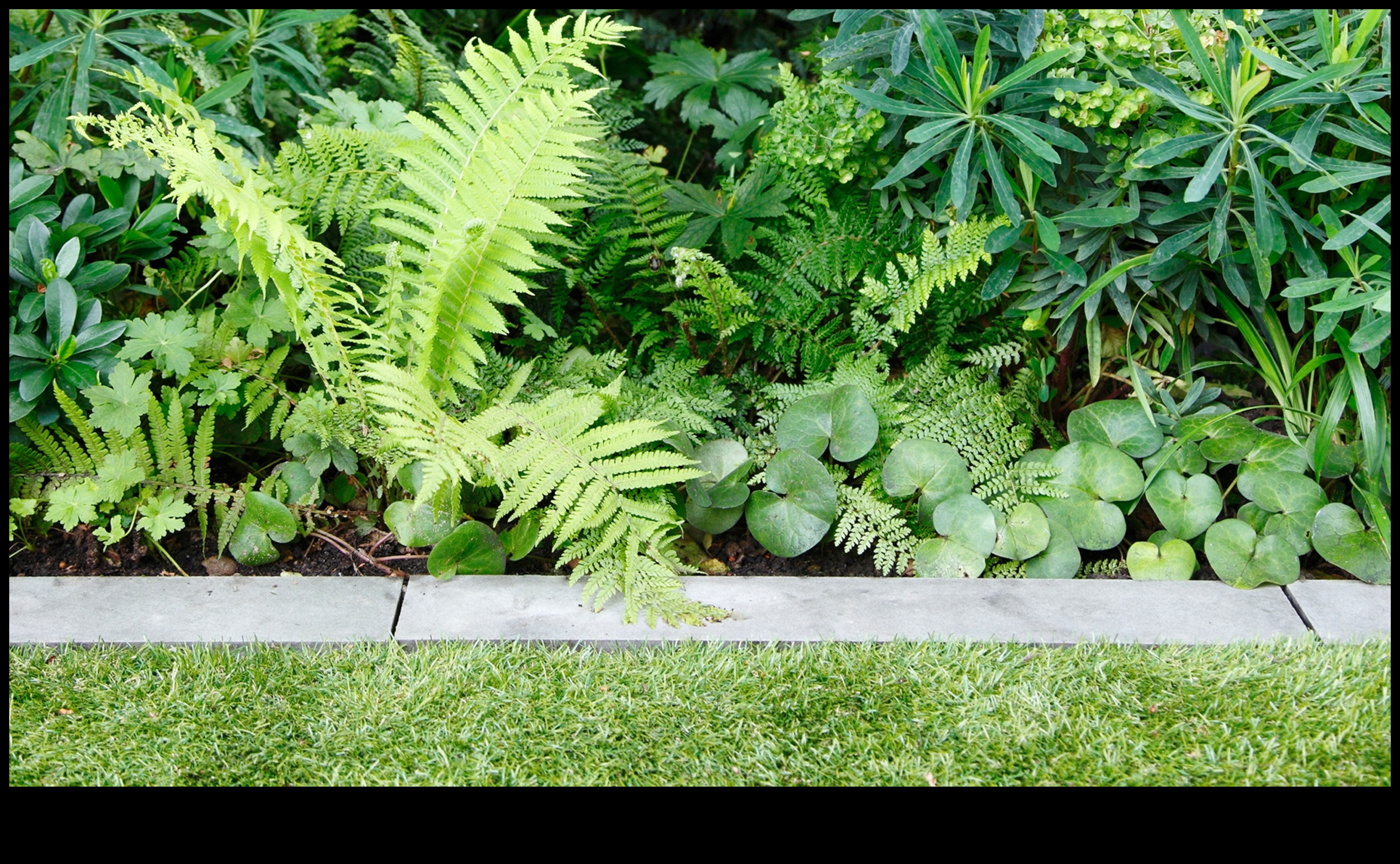 Enchanted Edges: Garden Design Marvels in Every Detail