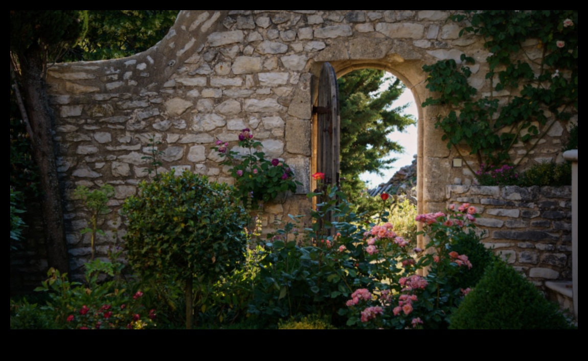 Enchanted Outdoors: Dive into the World of Garden Decor