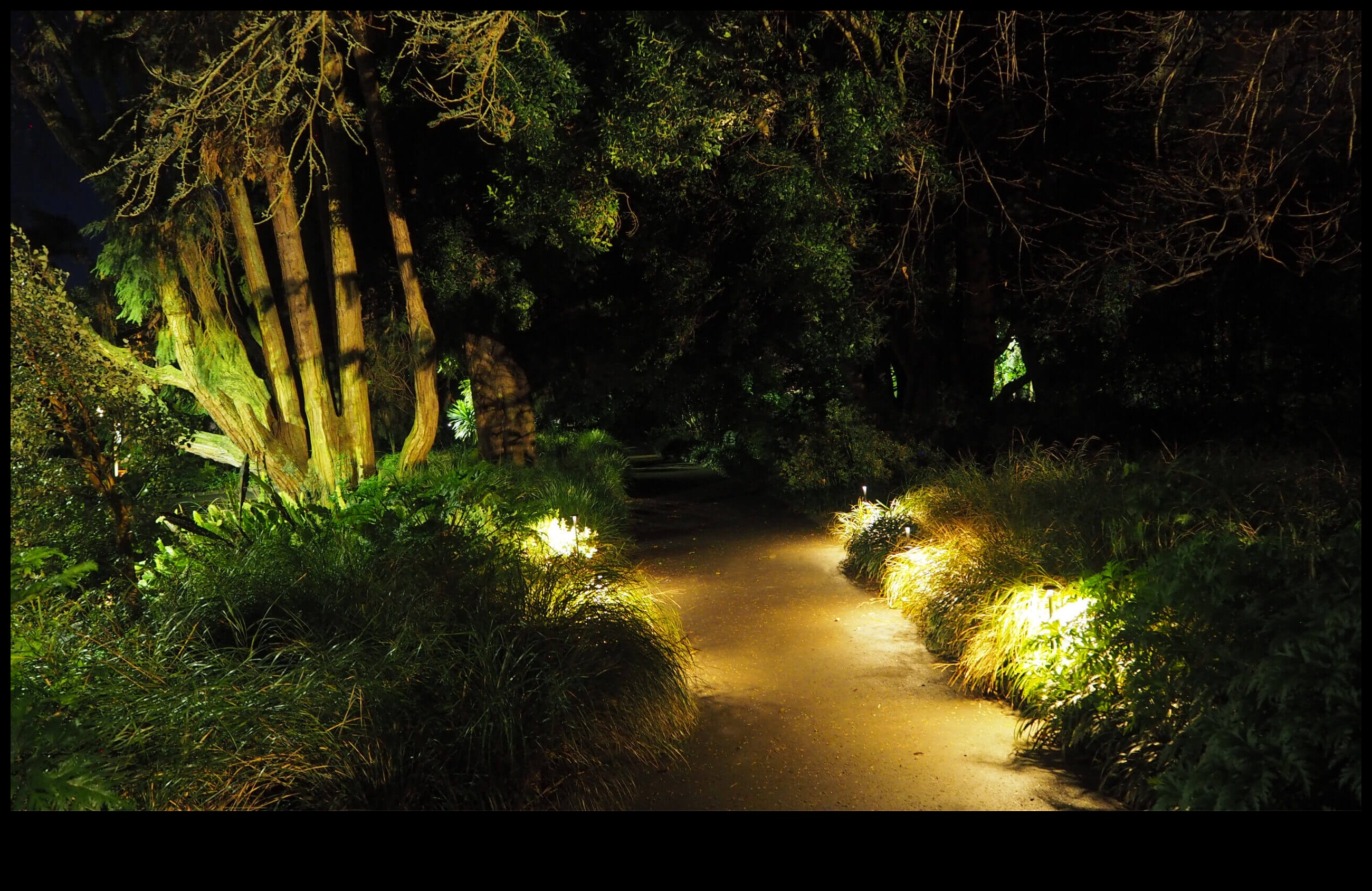 Enchanting Outdoors: Dive into the Allure of Garden Decor