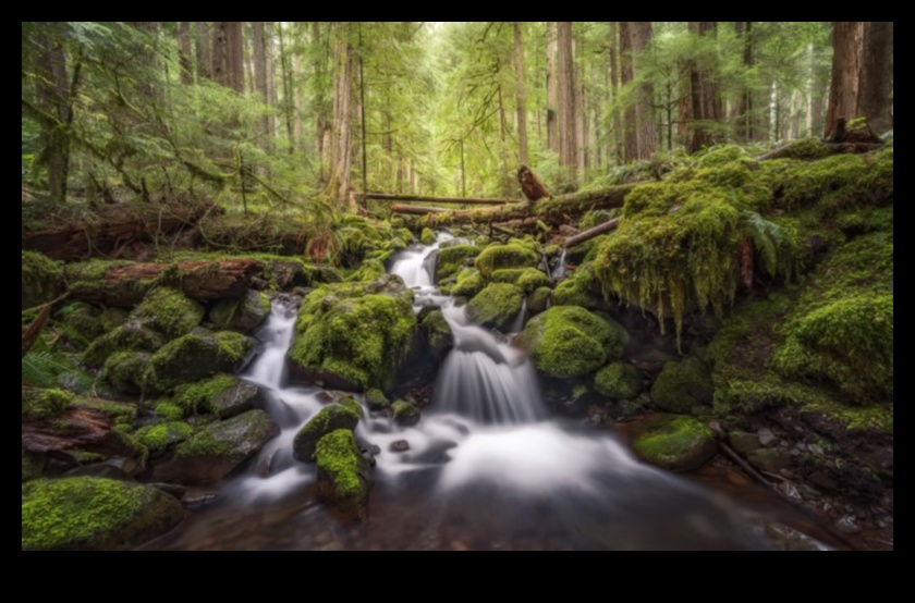 Enchanting Perspectives: A Collection of Captivating Landscapes