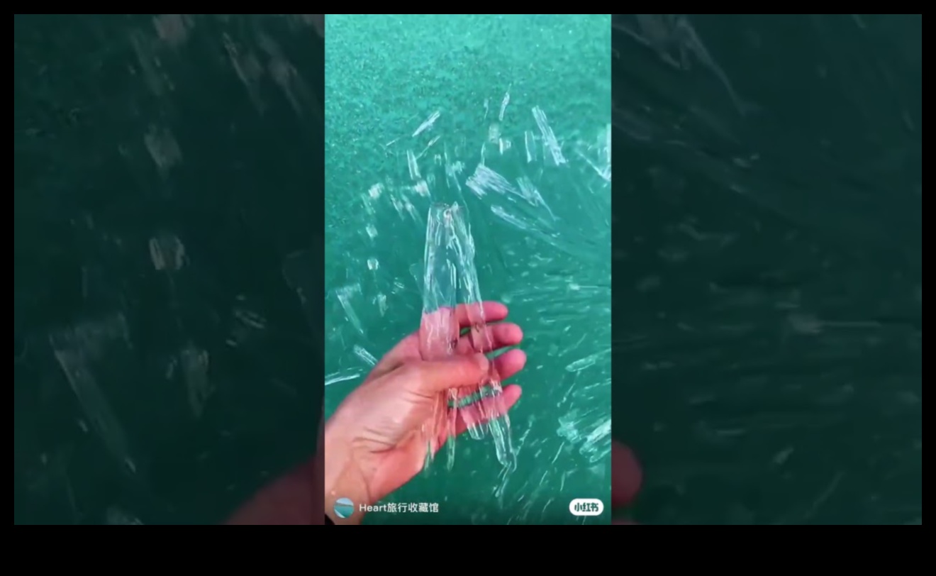 Epic Earthscapes: Showcasing the Grandeur of Our Planet