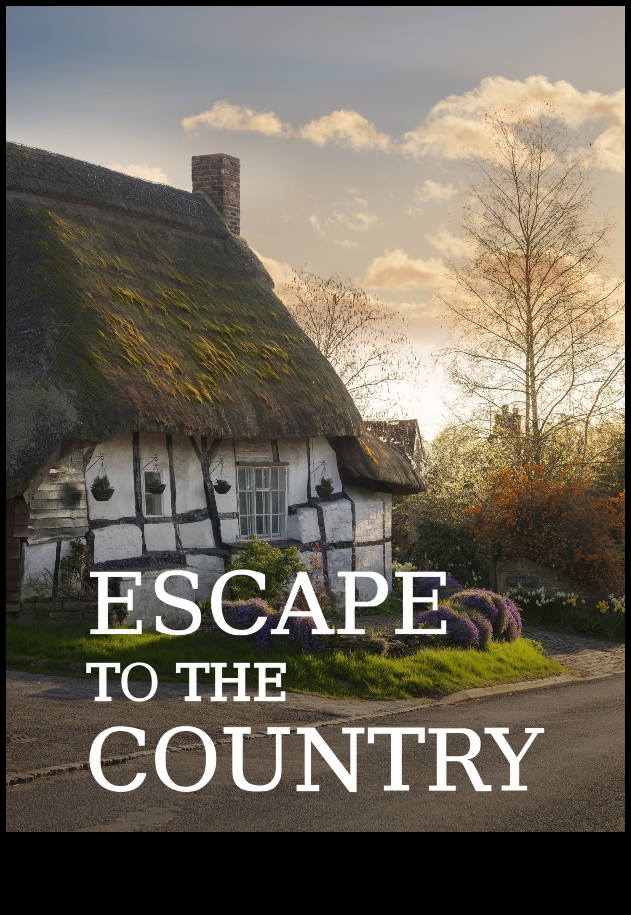 Countryside Euphoria: Tranquil Rural Scenes Worldwide