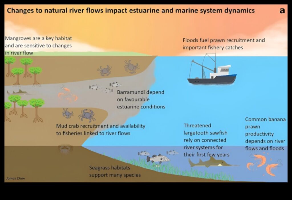 Estuaries The Lifeblood of Coastal Ecosystems 1