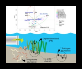 Why are river estuaries important components of aquatic landscapes?