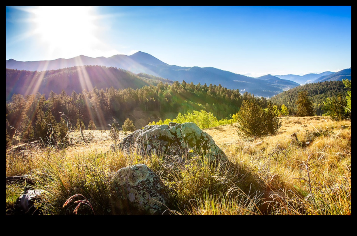 Eternal Vistas: Timeless Landscapes in Photography