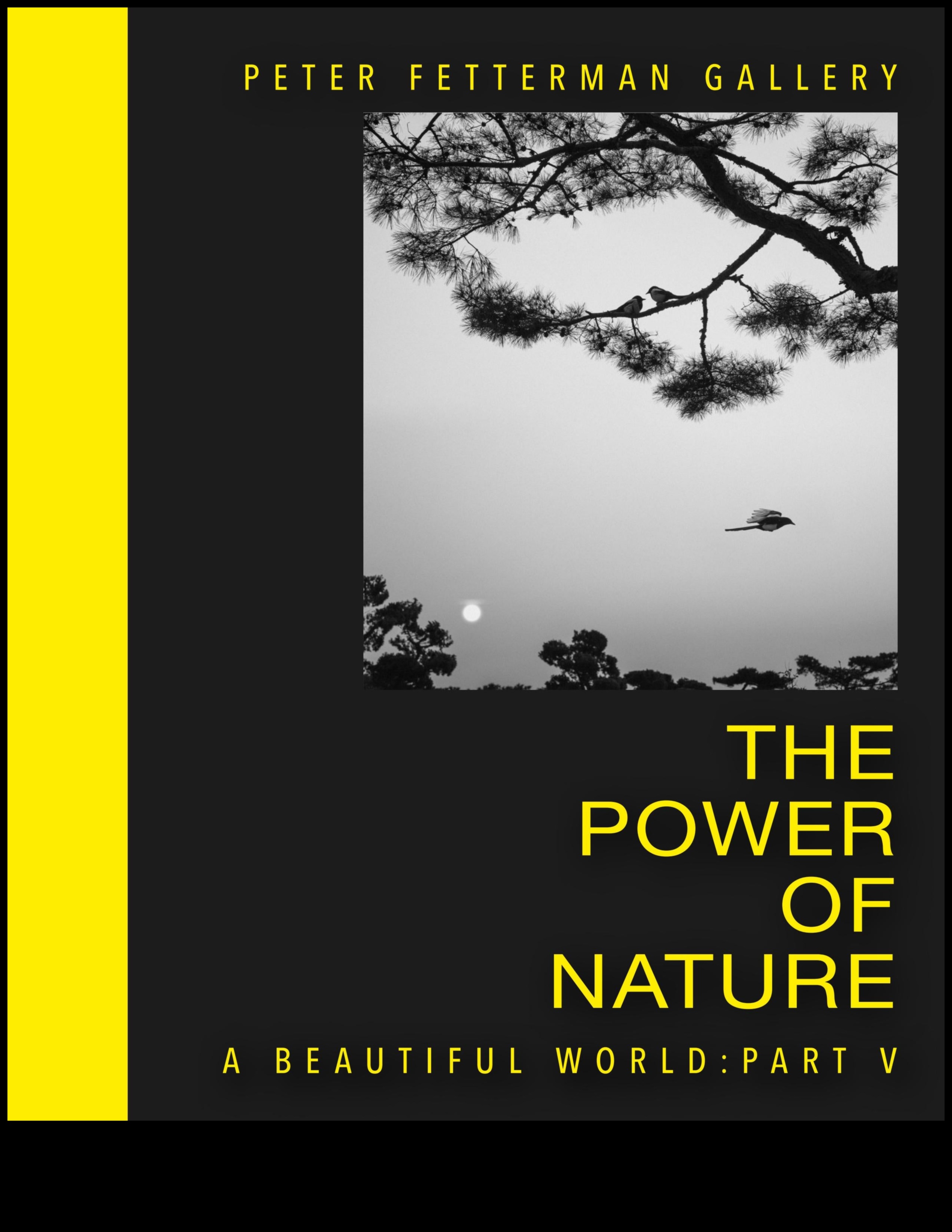 Eternal Vistas: Timeless Landscapes in Photography