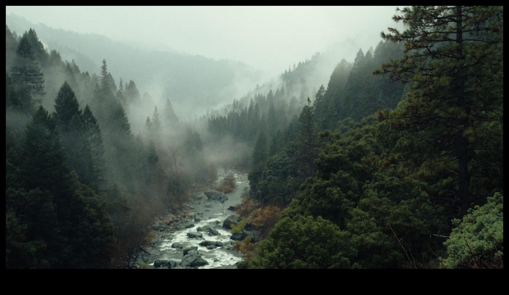 Beyond the Ordinary: Exceptional Landscape Views