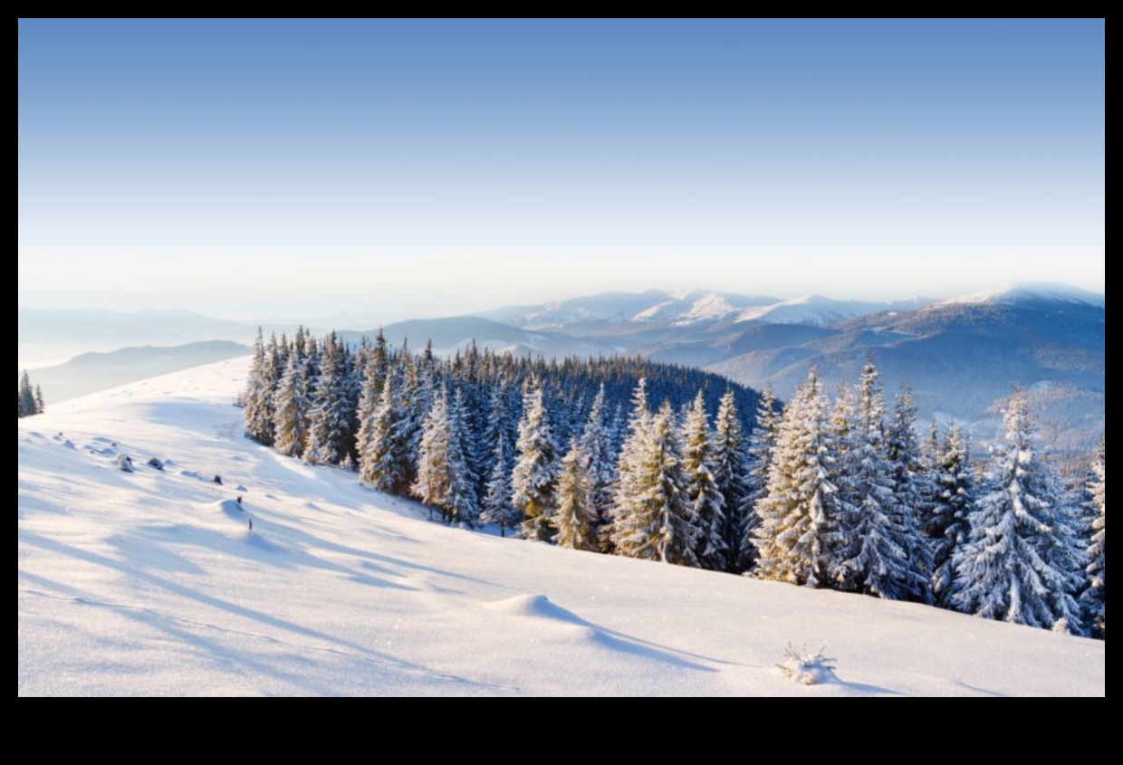 Beyond the Ordinary: Exceptional Landscape Views