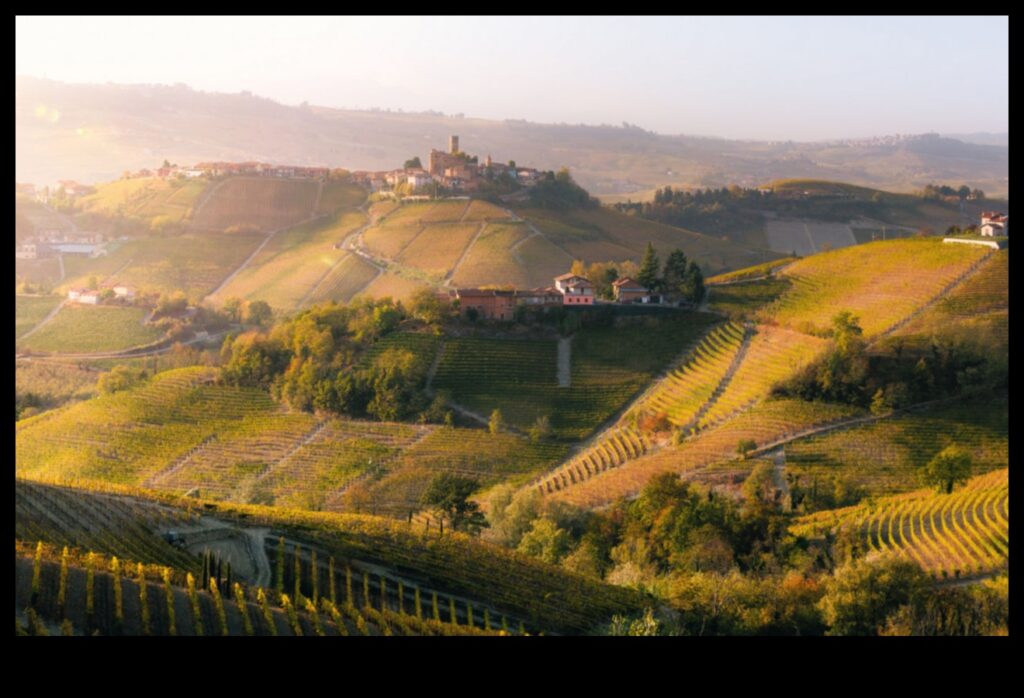 Explore the Charm of Fruitful Landscapes 1