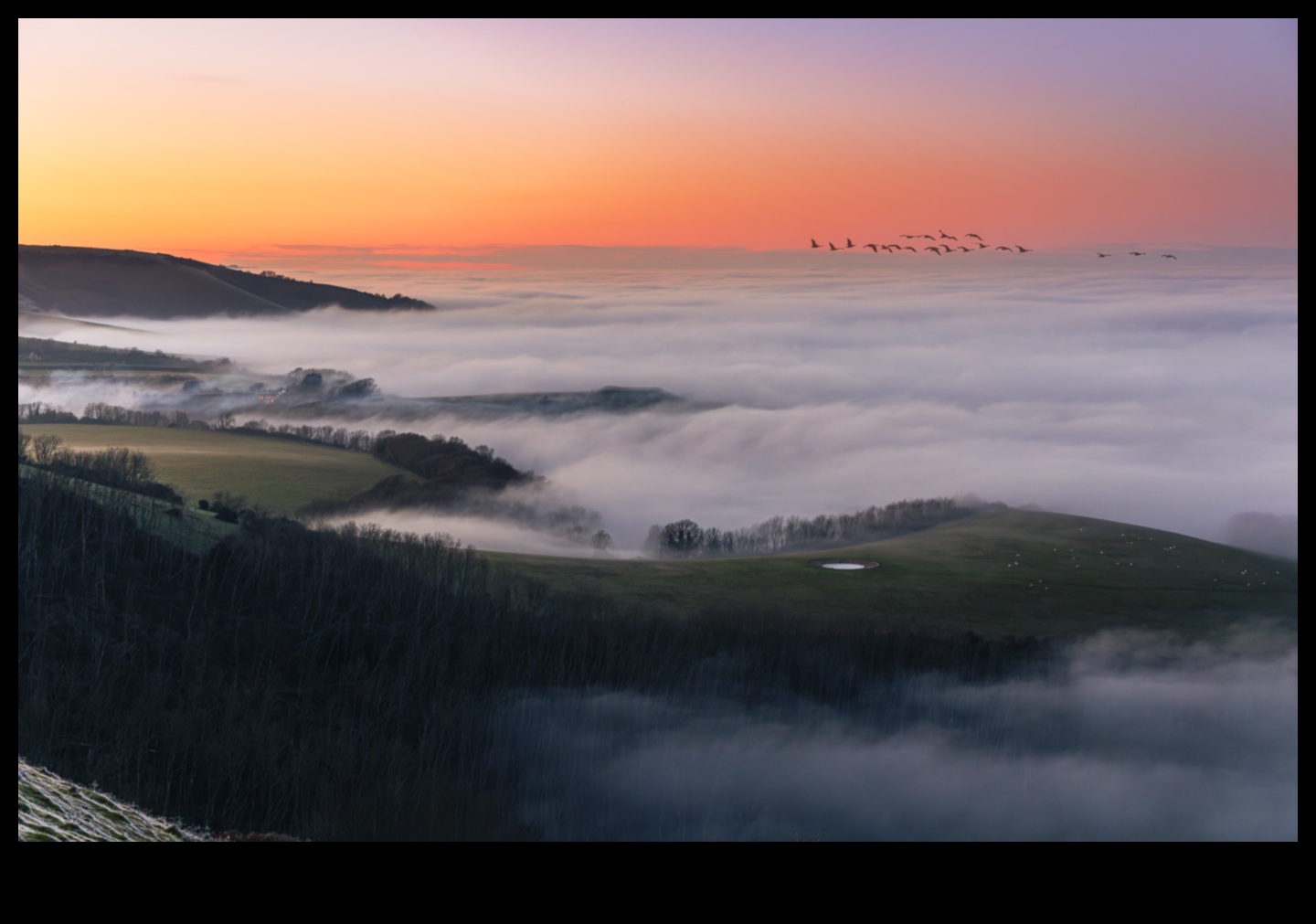 Orchards in Bloom: Exploring the Charm of Fruitful Landscapes