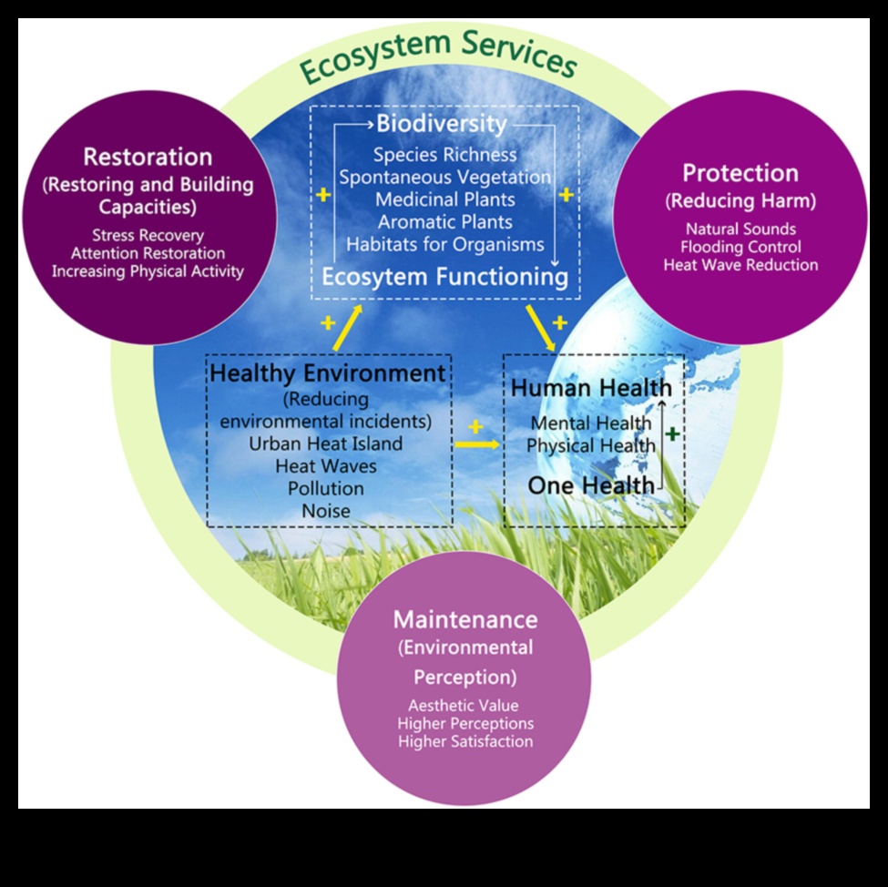 Biodiversity Frontiers II: Unveiling Conservation Areas Worldwide Continued
