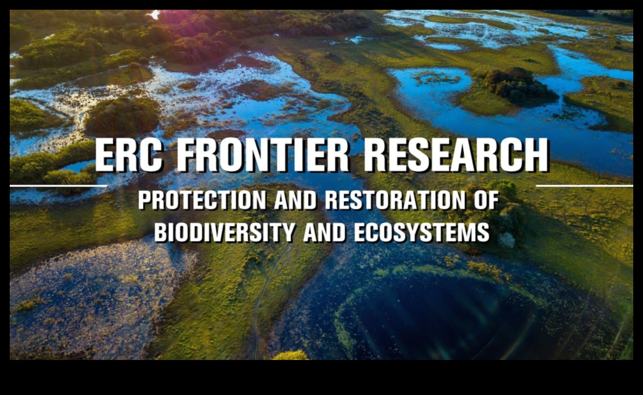Biodiversity Frontiers II: Unveiling Conservation Areas Worldwide Continued