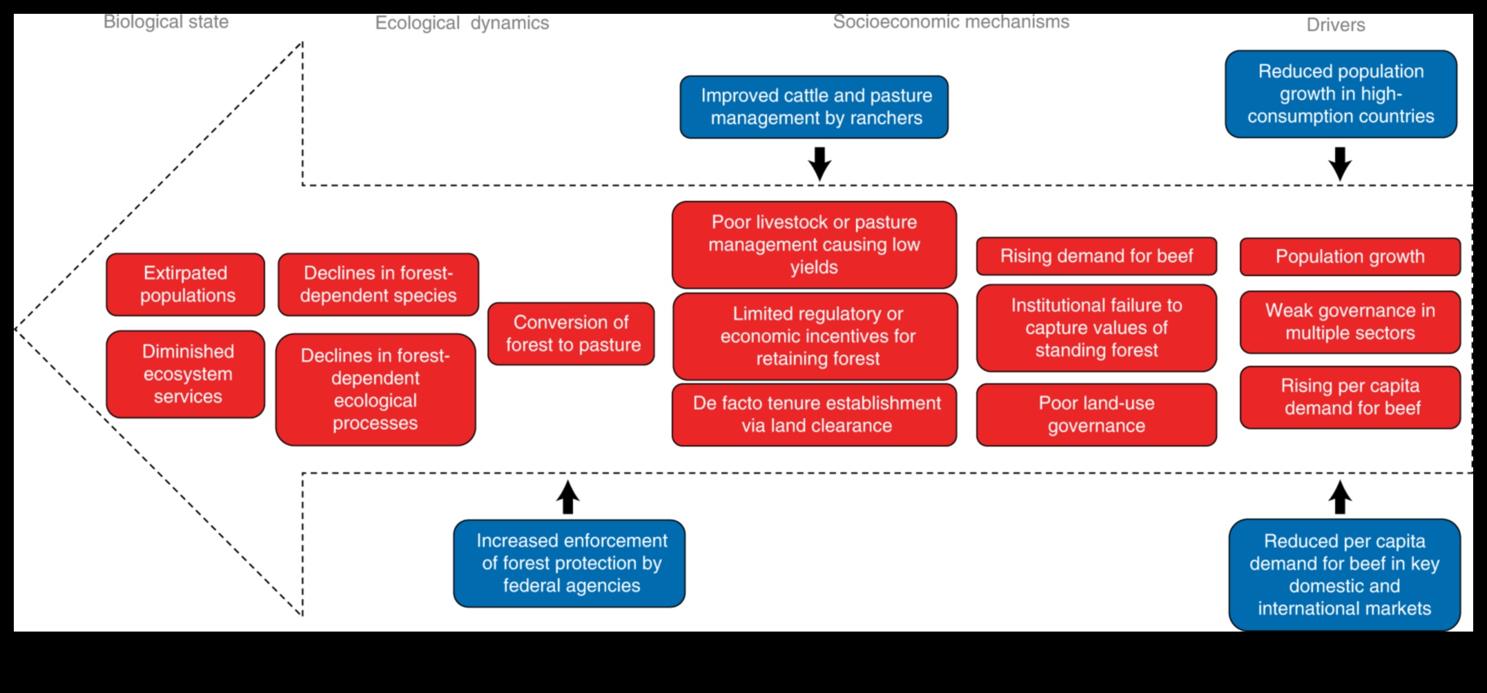 Biodiversity Frontiers II: Unveiling Conservation Areas Worldwide Continued