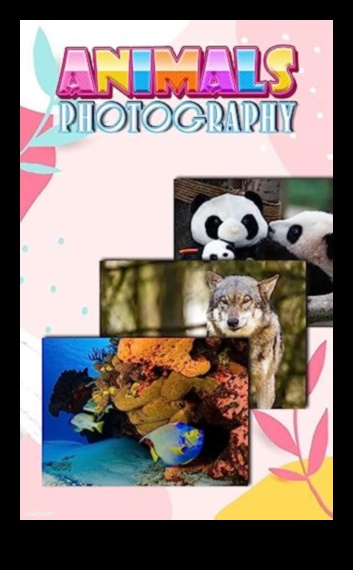 Landscapes in Focus: A Visual Exploration of Earth's Most Beautiful Scenes