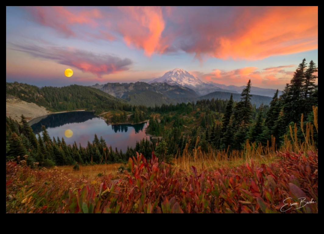 A Canvas of Dreams: Expressive Landscape Photography That Inspires