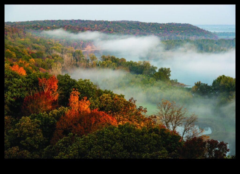 Fall Foliage A Natural Spectacle 1