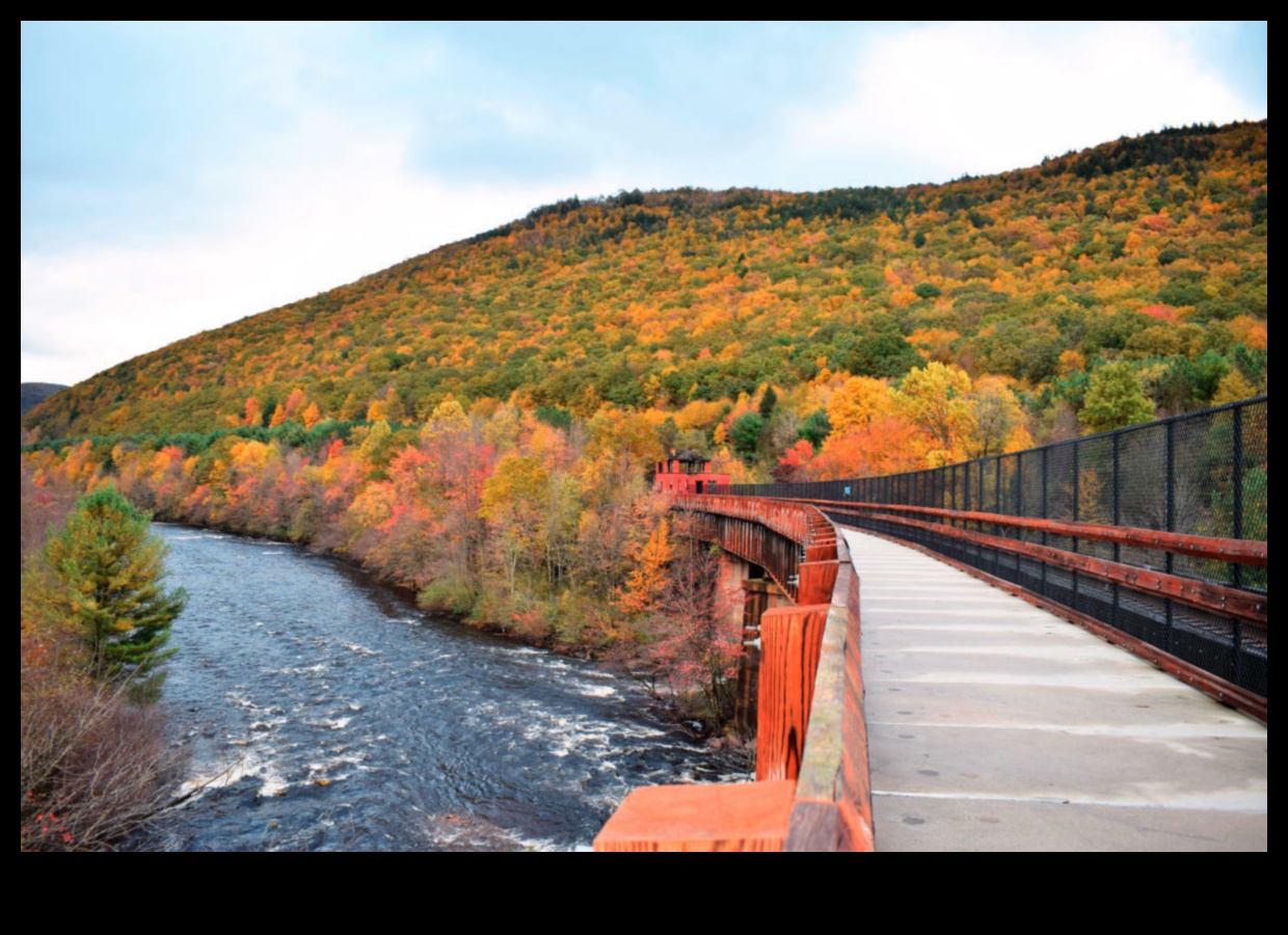 Autumnal Palette: Reveling in the Colors of Fall