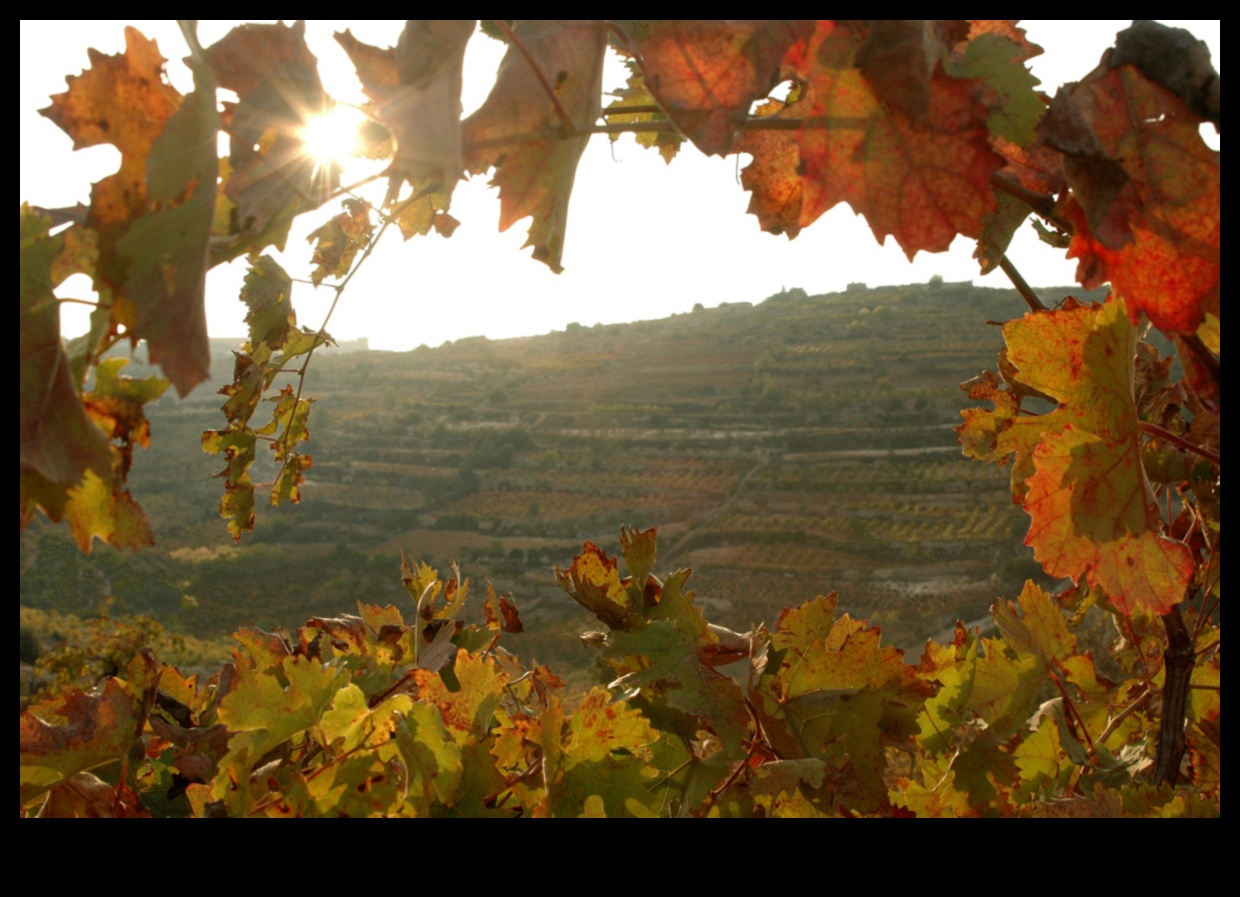 Autumn's Palette: Admiring the Richness of Fall Colors