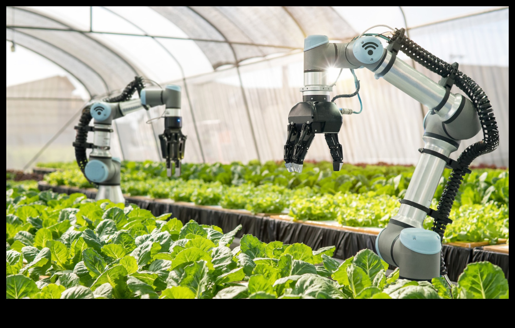 Fields of Plenty: Farmland and Crop Fields Explored