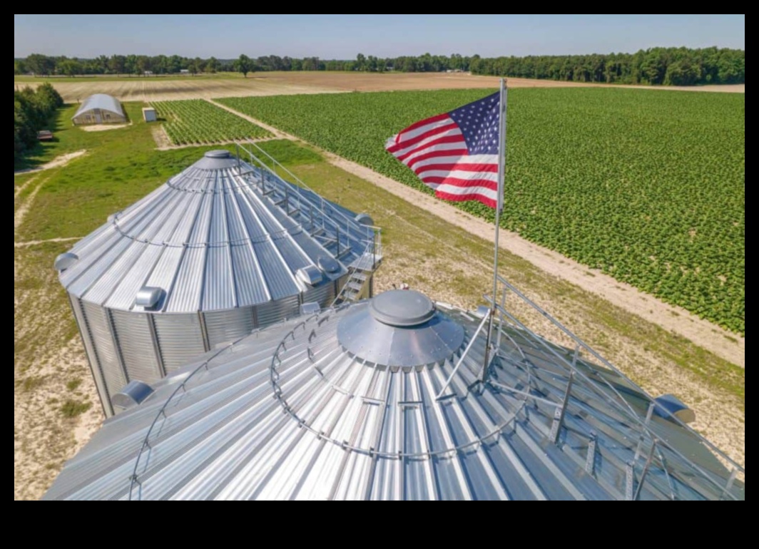 Fields of Abundance: Farmland and Crop Fields in Focus
