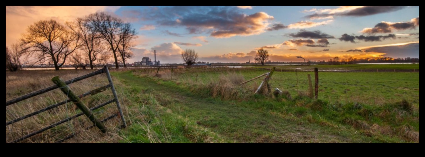 Fields of Abundance: Farmland and Crop Fields in Focus