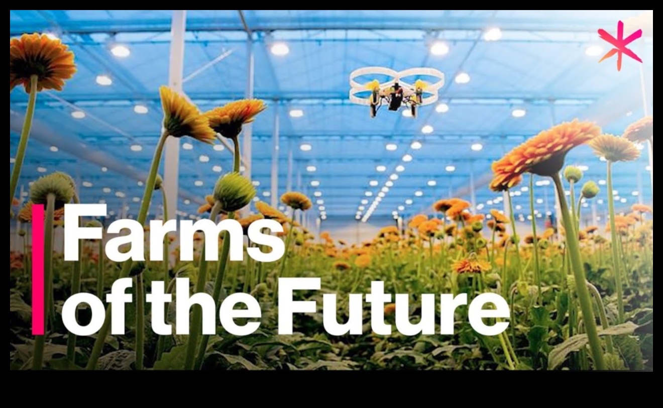 Harvesting Beauty: Farmland and Crop Fields Around the World