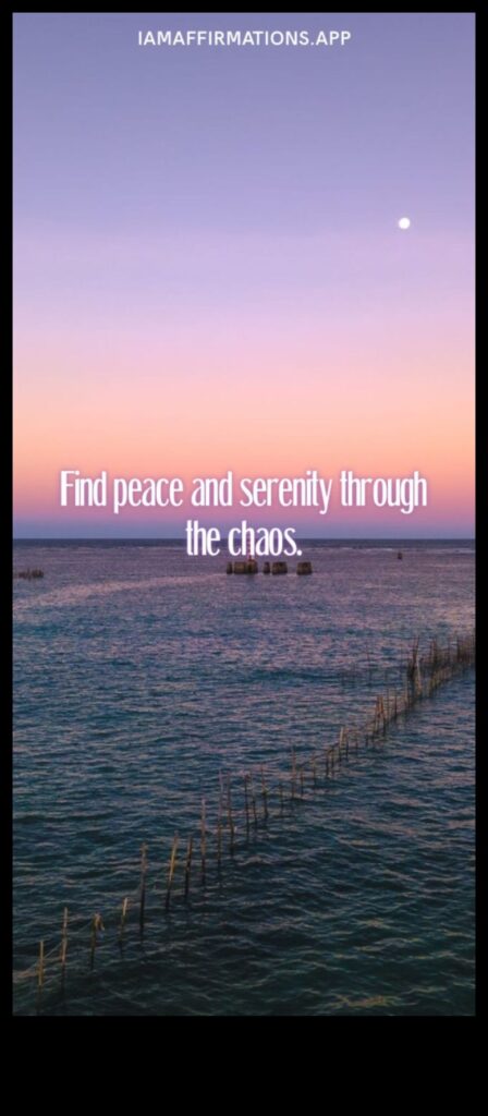 Finding Serenity in the Chaos 1