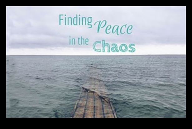 Serene Moments: A Collection of Calming and Beautiful Landscapes