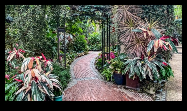 Floral Classrooms: Blooming Brilliance in Garden Education