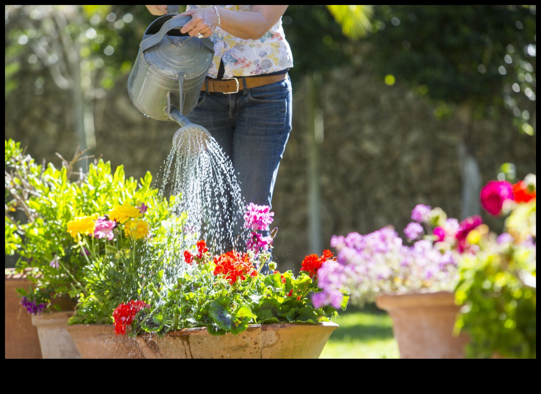Floral Elegance: Container Gardening for Every Home