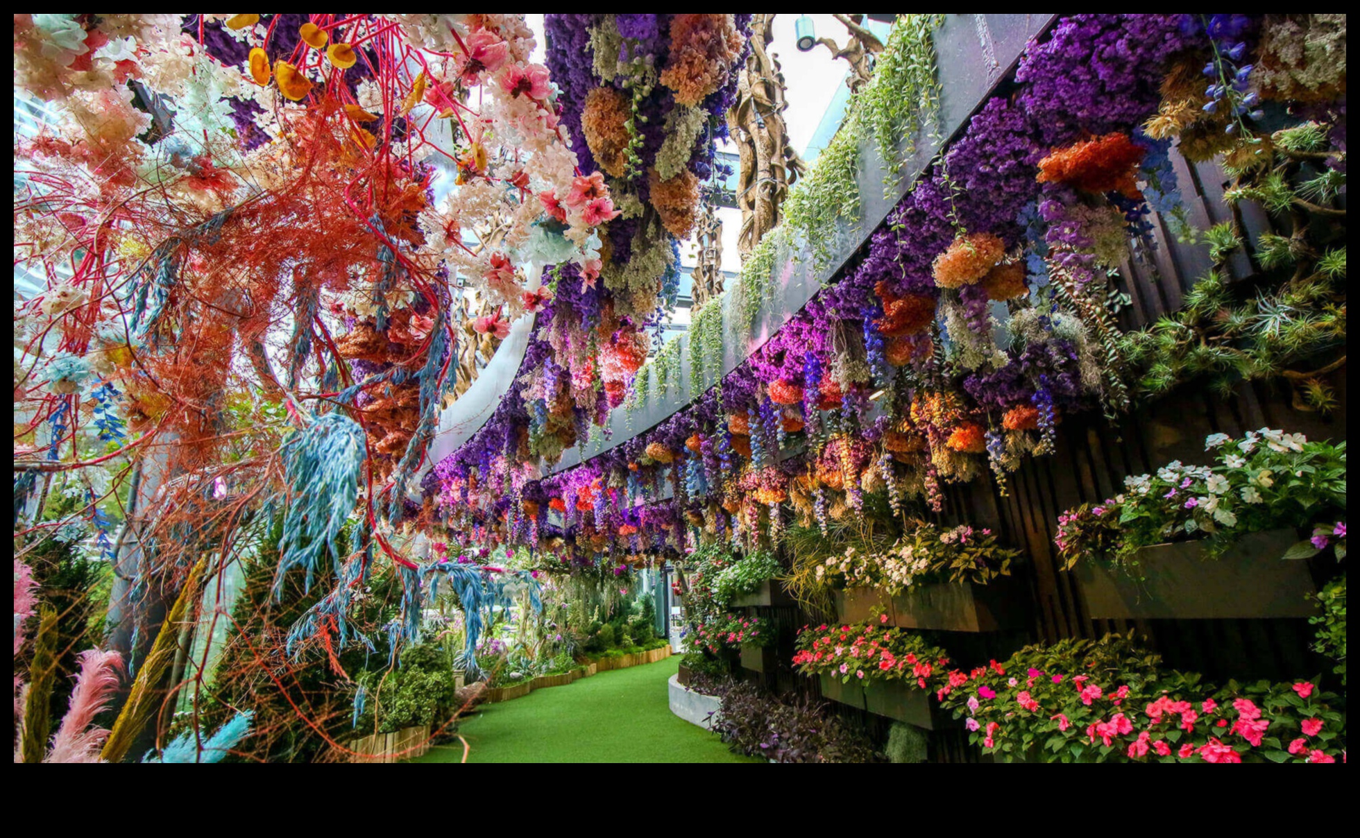 Floral Fantasy: Dive into Our Greenhouse Magic