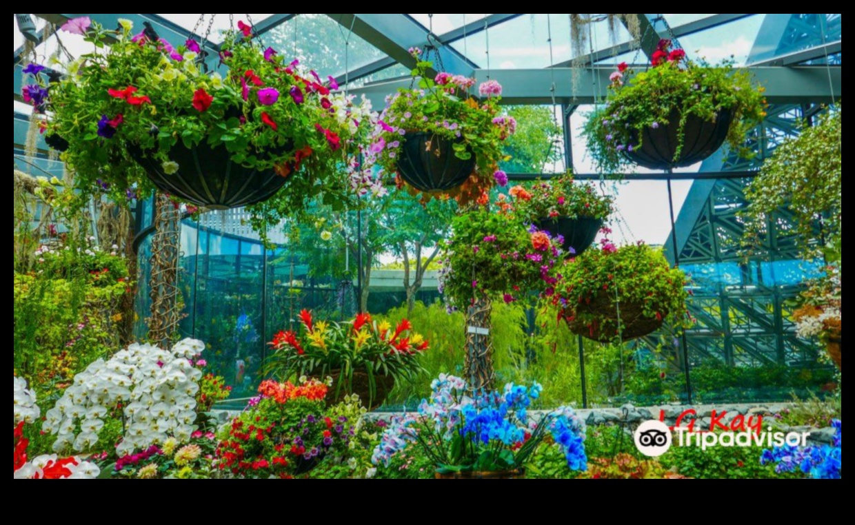 Floral Fantasy: Dive into Our Greenhouse Magic