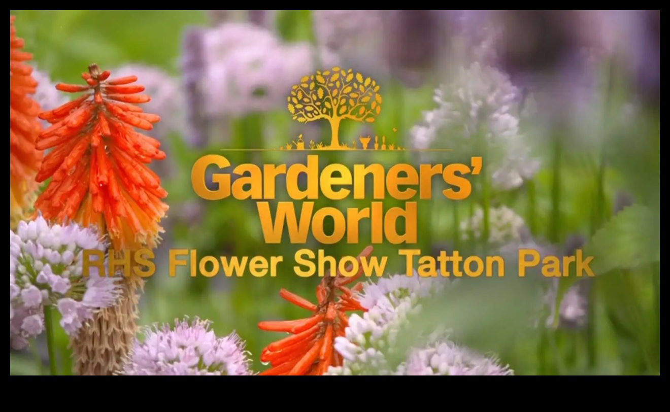 Floral Flourish: Celebrating the Art of Expert Garden Maintenance