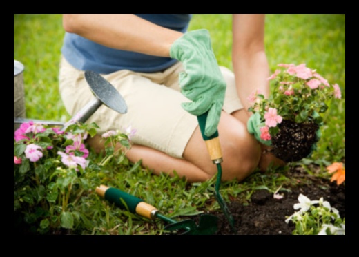 Floral Flourish A Guide to the Essential Garden Tools 1