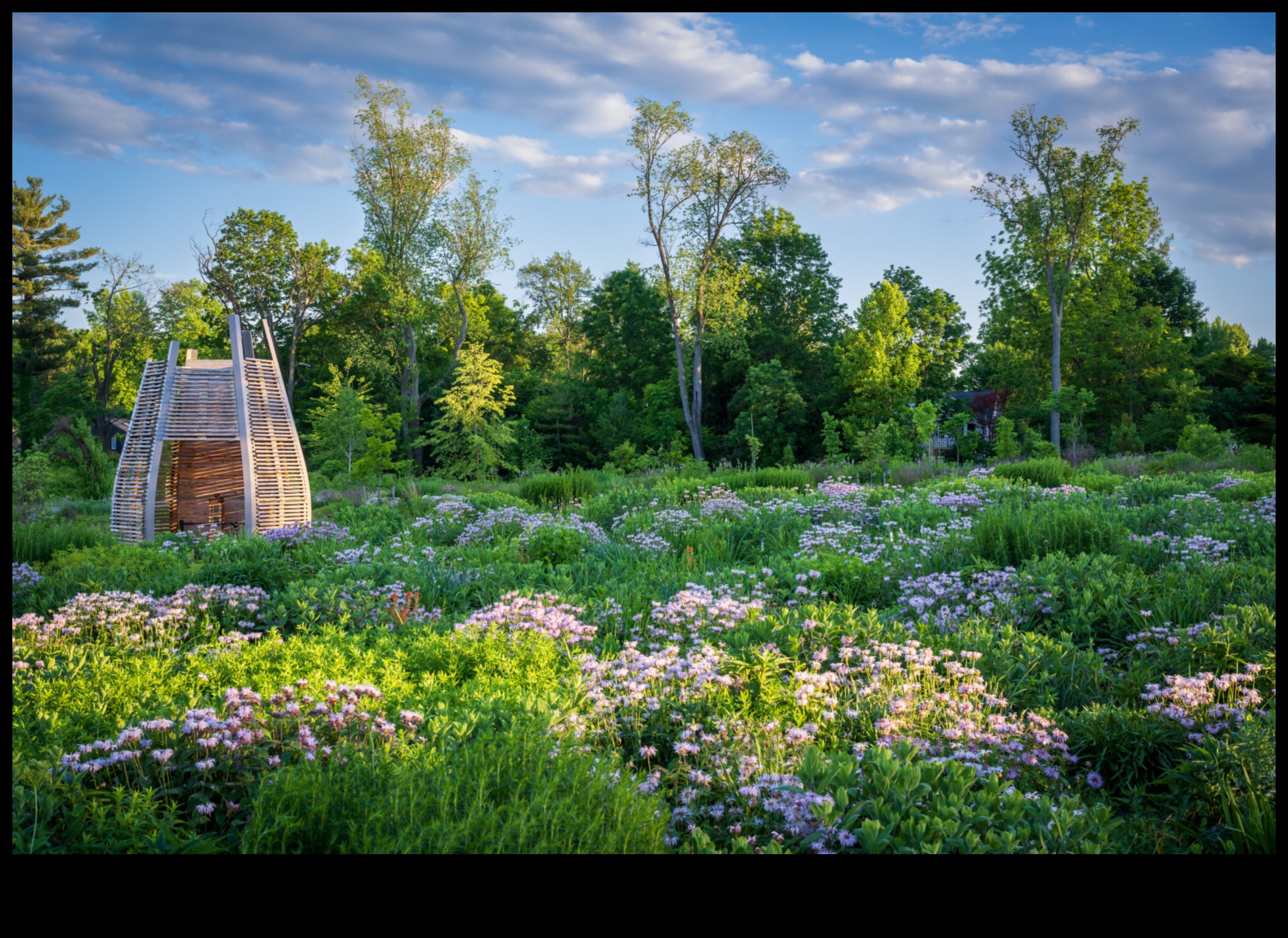 Floral Flourish The Science of Growing Beautiful Gardens 2 Floral Flourish: The Science Behind Effective Garden Care