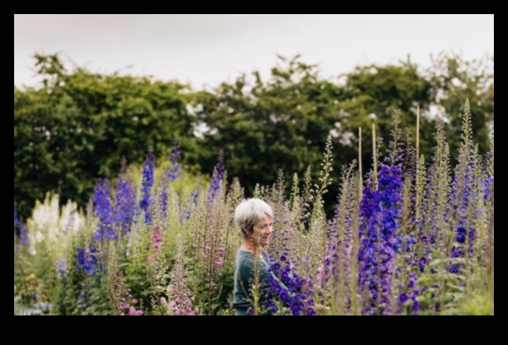 Floral Flourish: The Science Behind Effective Garden Maintenance