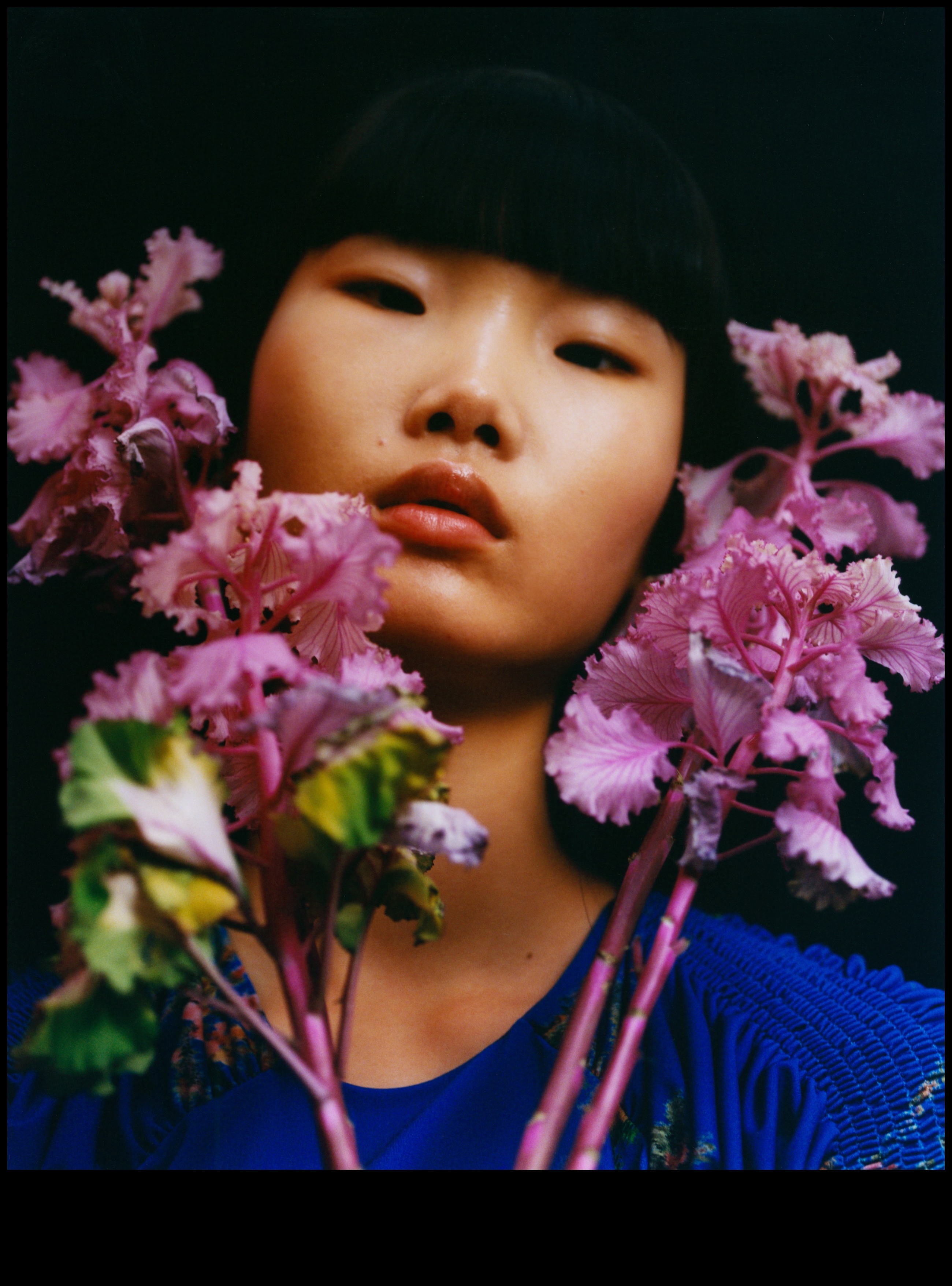 Floral Fragrance: Aromas in Gardens and Meadows