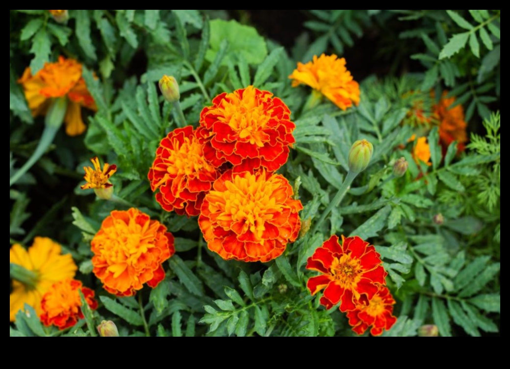 Floral Friendships The Art of Companion Planting 2 Floral Friendships: The Beauty of Expert Companion Planting